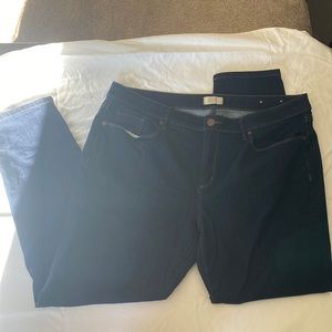 Ann Taylor Loft Curvy Skinny Jeans - Size 16